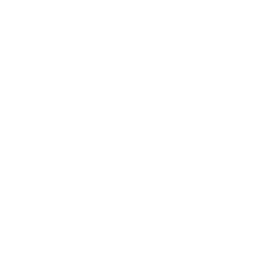 logo kamidne